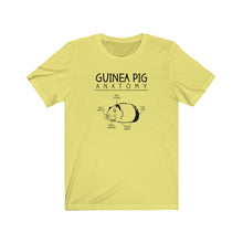 Load image into Gallery viewer, Guinea Pig Anatomy Funny Unisex Jersey Short Sleeve Tee - Lili White Creations 