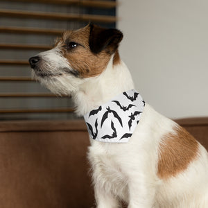 Black Bats Pet Bandana Collar - Lili White Creations 