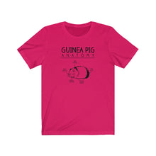 Load image into Gallery viewer, Guinea Pig Anatomy Funny Unisex Jersey Short Sleeve Tee - Lili White Creations 