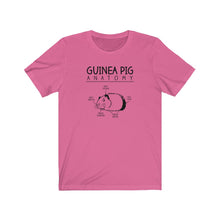 Load image into Gallery viewer, Guinea Pig Anatomy Funny Unisex Jersey Short Sleeve Tee - Lili White Creations 