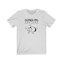 Load image into Gallery viewer, Guinea Pig Anatomy Funny Unisex Jersey Short Sleeve Tee - Lili White Creations 