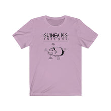 Load image into Gallery viewer, Guinea Pig Anatomy Funny Unisex Jersey Short Sleeve Tee - Lili White Creations 