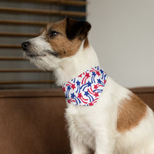 Load image into Gallery viewer, Fourth of July Stars Pet Bandana Collar - Lili White Creations 