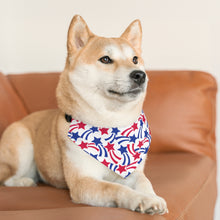 Load image into Gallery viewer, Fourth of July Stars Pet Bandana Collar - Lili White Creations 