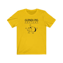 Load image into Gallery viewer, Guinea Pig Anatomy Funny Unisex Jersey Short Sleeve Tee - Lili White Creations 